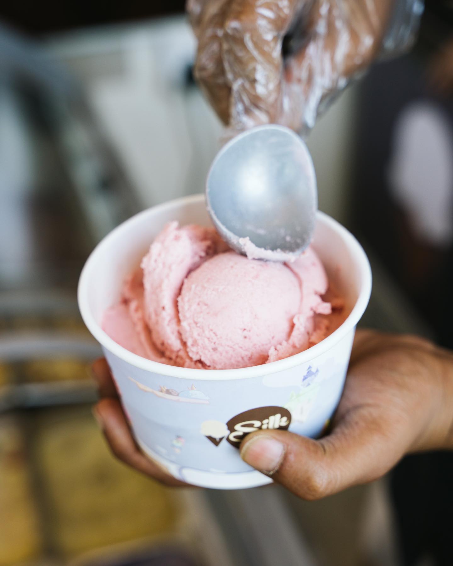 Silk Artisanal Creamery